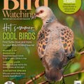 Magazine cover Bird Watching №UK July 2025