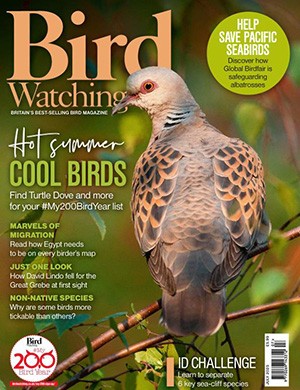 Magazine cover Bird Watching №UK July 2025