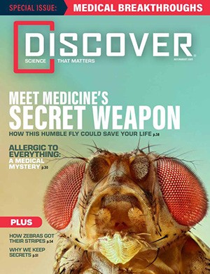 Discover July-August (2025)