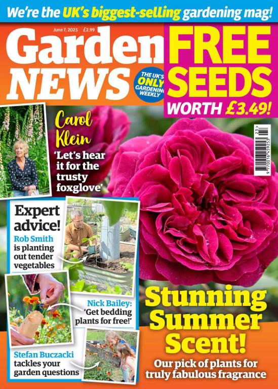 Garden News June 7 (2025)