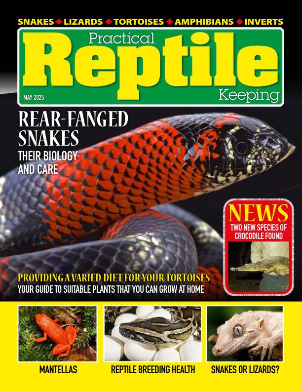 Practical Reptile Keeping May (2025)