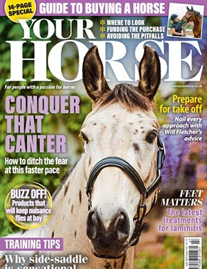 Your Horse July (2025)