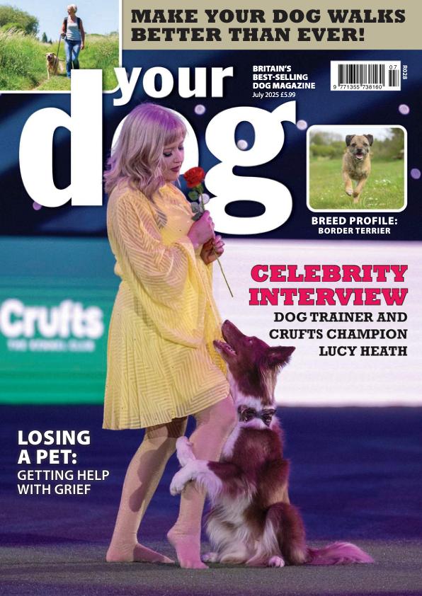 Your Dog July (2025)