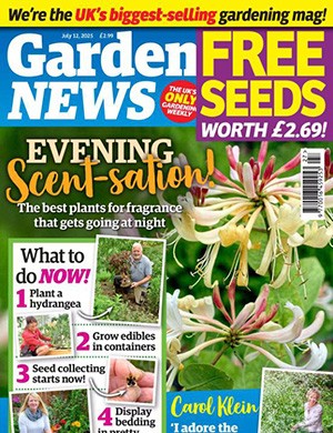 Garden News July 12 (2025)